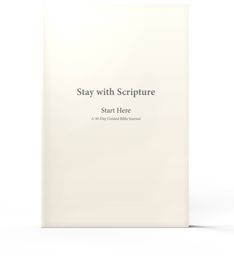 Start Here book cover